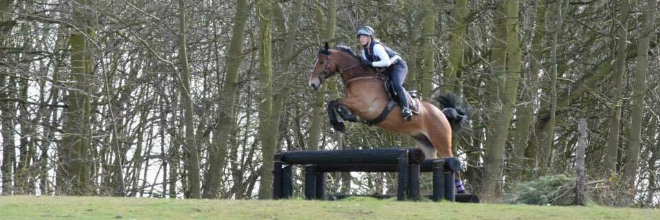 Terri Bates Eventing banner
