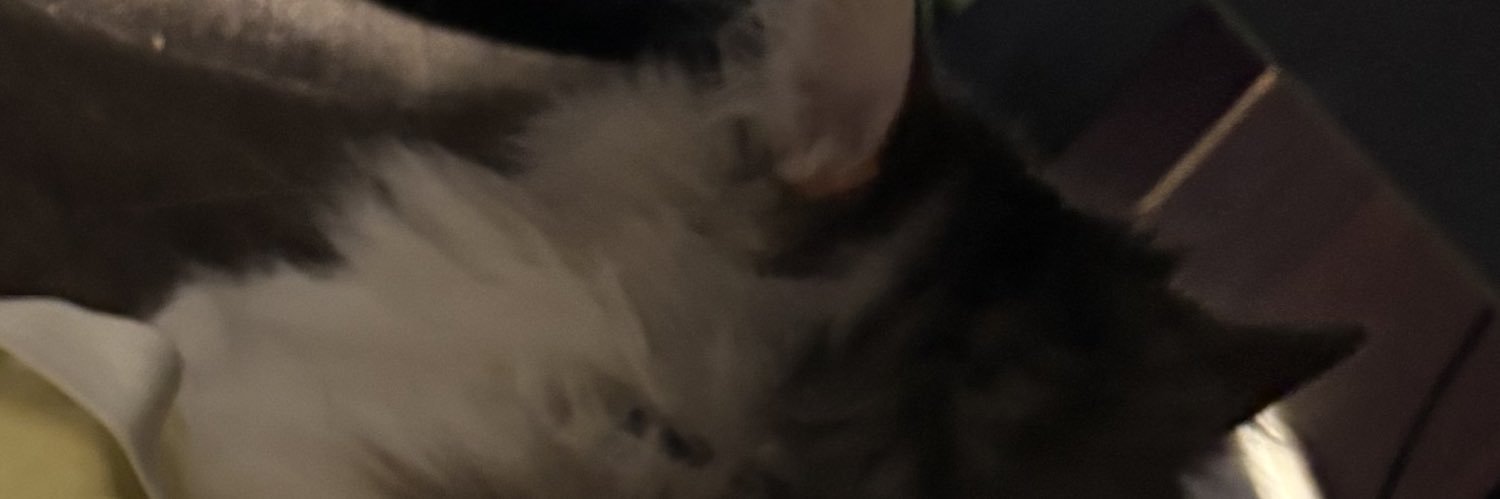 ねぎらーめんotp banner