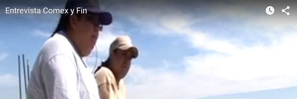 fincito's profile banner image