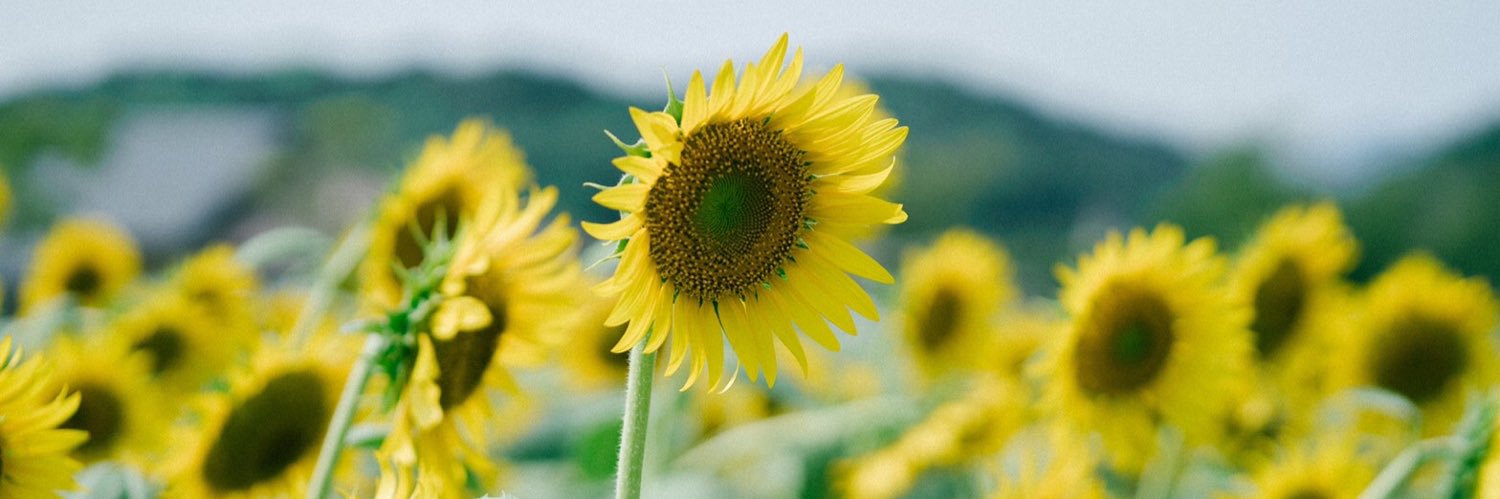 i_am_yosimura's profile banner image