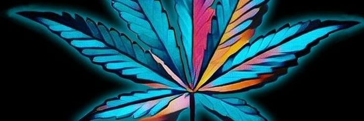LostBrother4's profile banner image