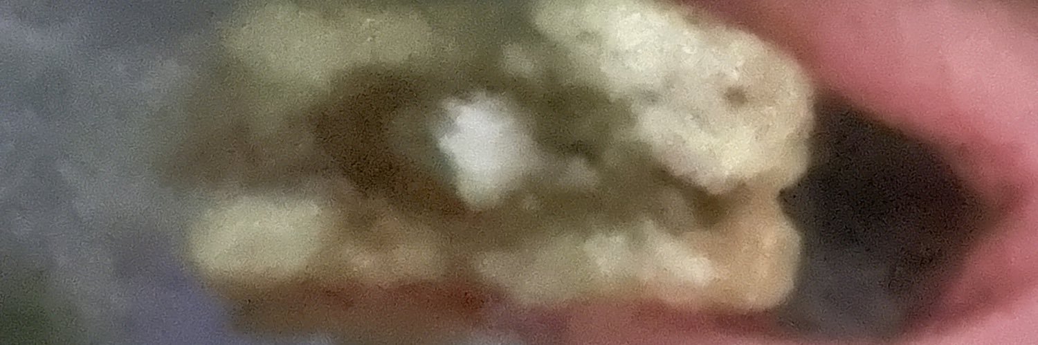 Dirty old race horse banner