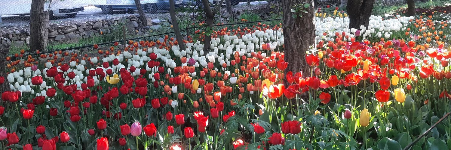 الهه مردانی banner