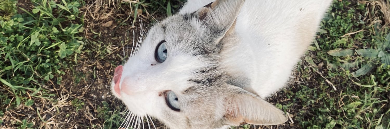 iriscjesus_'s profile banner image