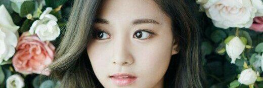 choi banner