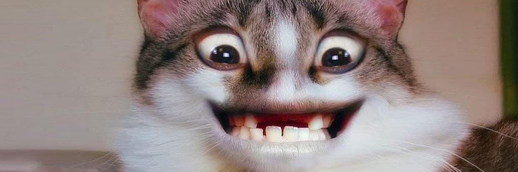 KolyaSerfer's profile banner image