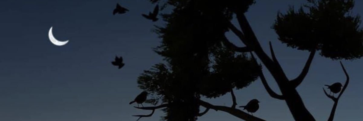 12Bandary0's profile banner image