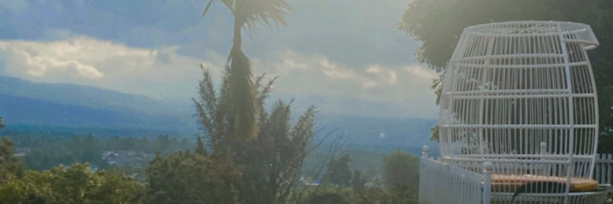 greennaddict's profile banner image