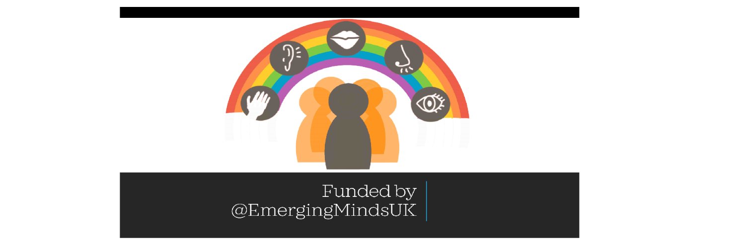 Uniting Senses and Experiences Network banner