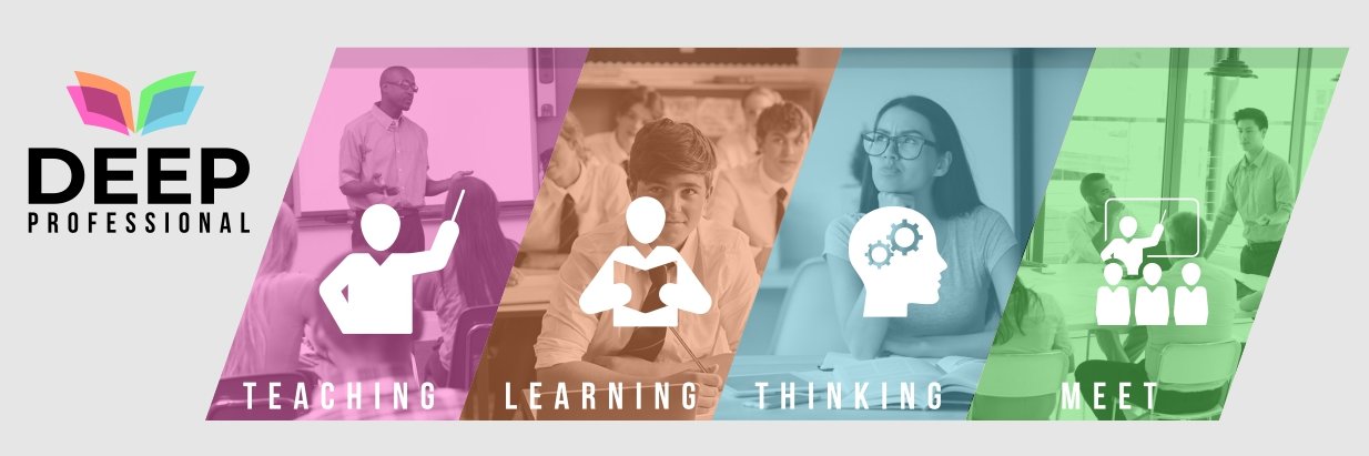 DEEP Professional banner