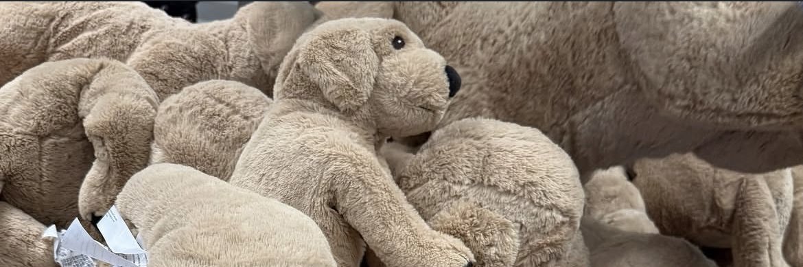 aibition's profile banner image