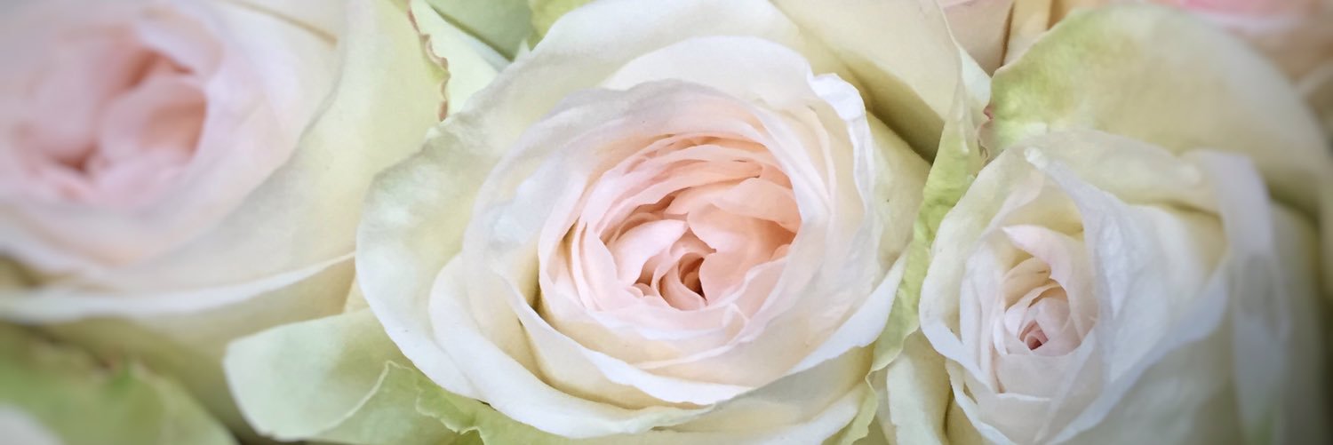 thecoryfiles's profile banner image