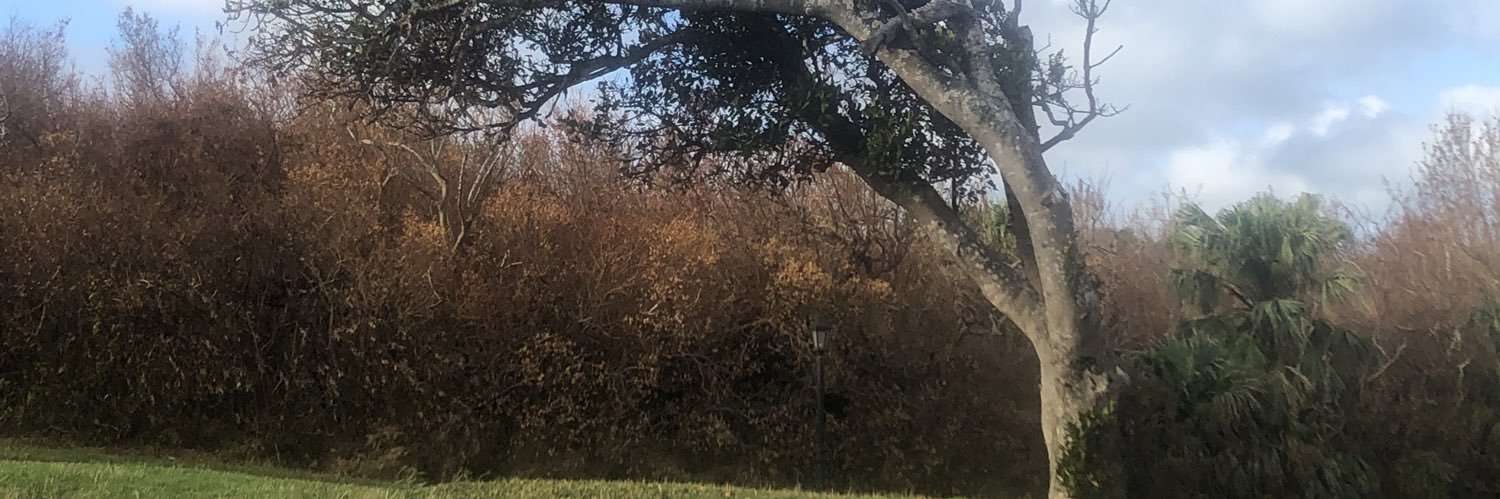 MSzeszulski's profile banner image