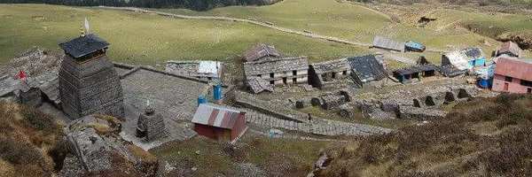 t2negi Profile Banner