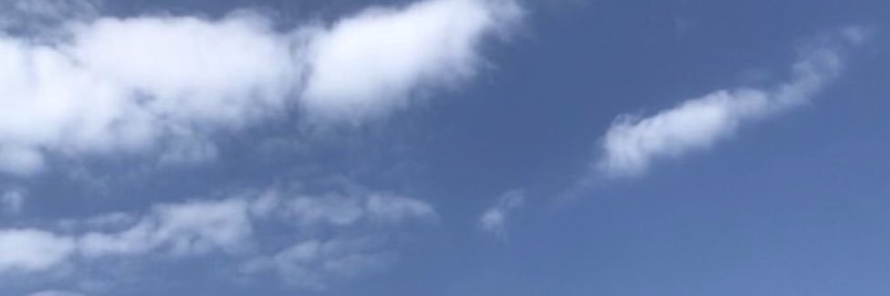 DBrascco's profile banner image