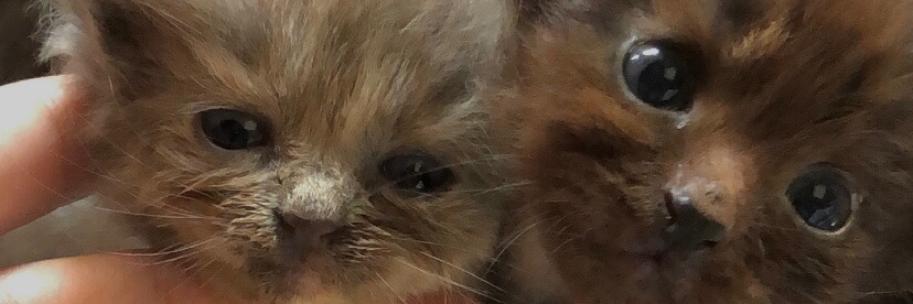 aughbrey's profile banner image