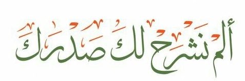 علي محمّد إسماعيل 🖌 banner