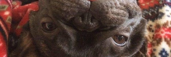 s9higgins Profile Banner