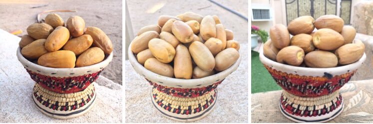 محمد الديك آل منصور(مزرعه نوادر تمور نجران) banner