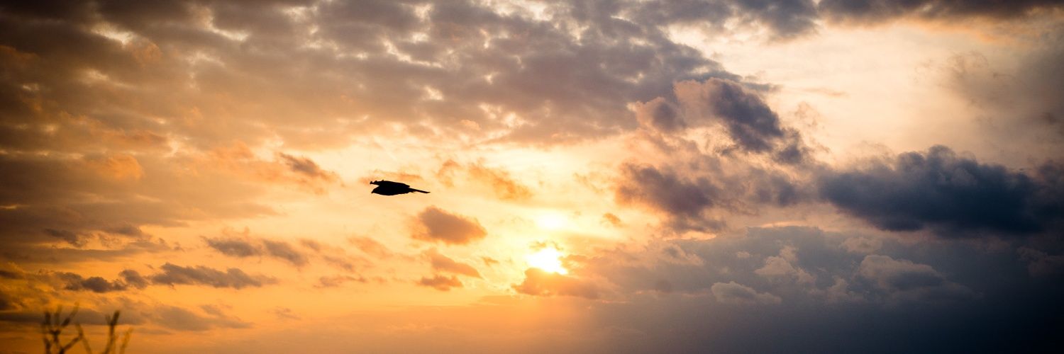 natu0906's profile banner image