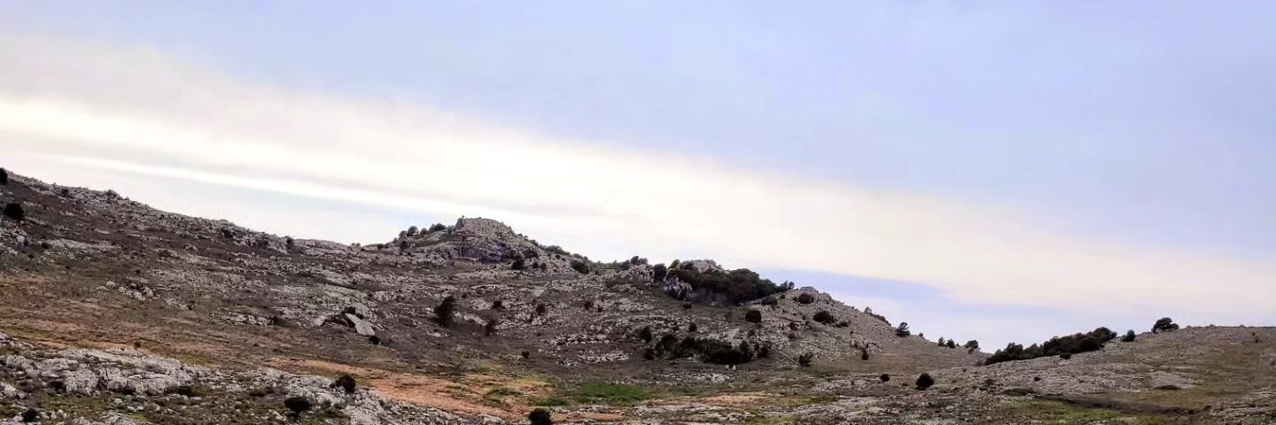 Andaldima's profile banner image