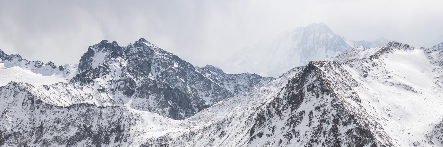 theomullr's profile banner image