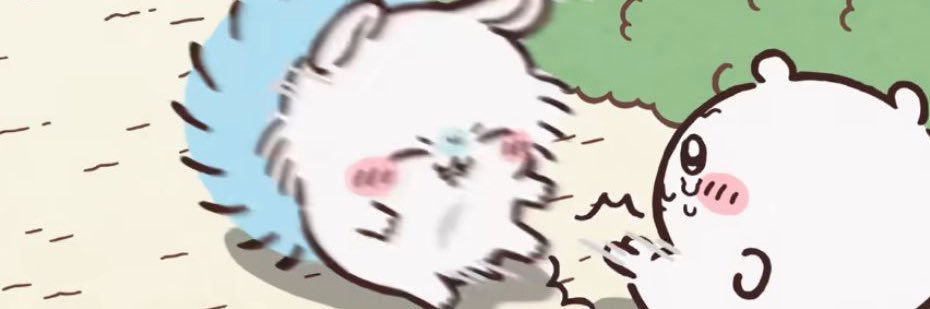 ✨ banner