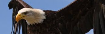 Cyber_Flying's profile banner image