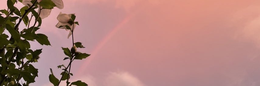 luckseed358's profile banner image
