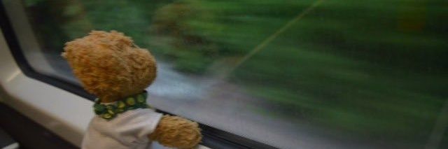 renjun's twin 🦋²⁹ banner