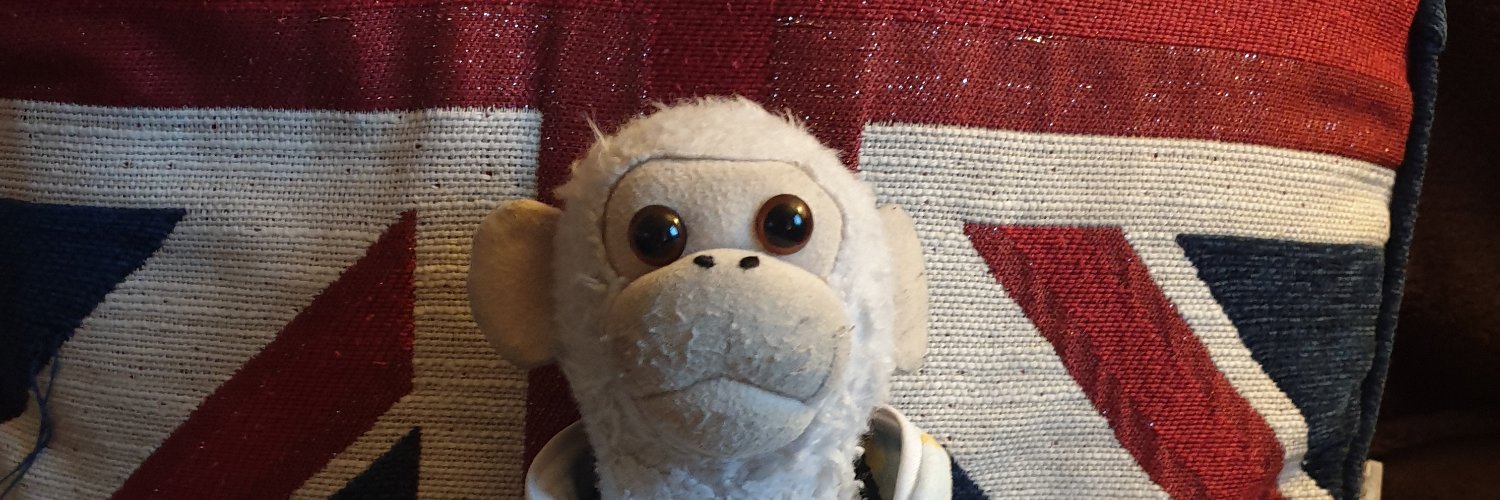 fisheatingtoast's profile banner image