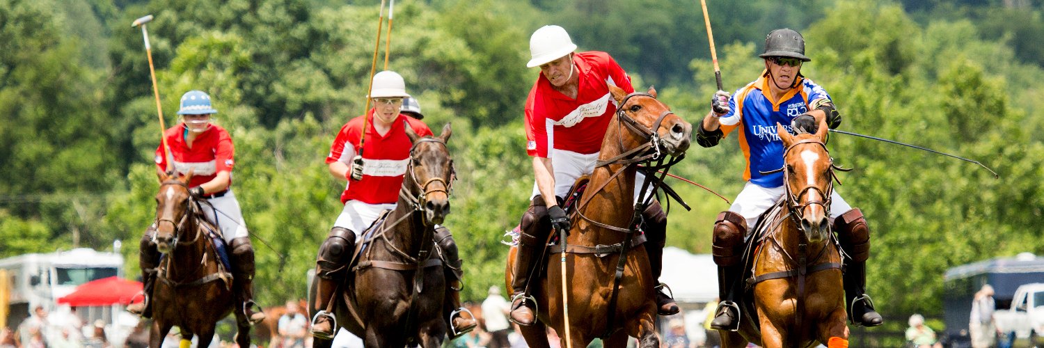 roselandpolo banner