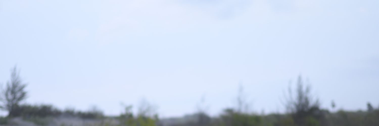 b_onzz's profile banner image