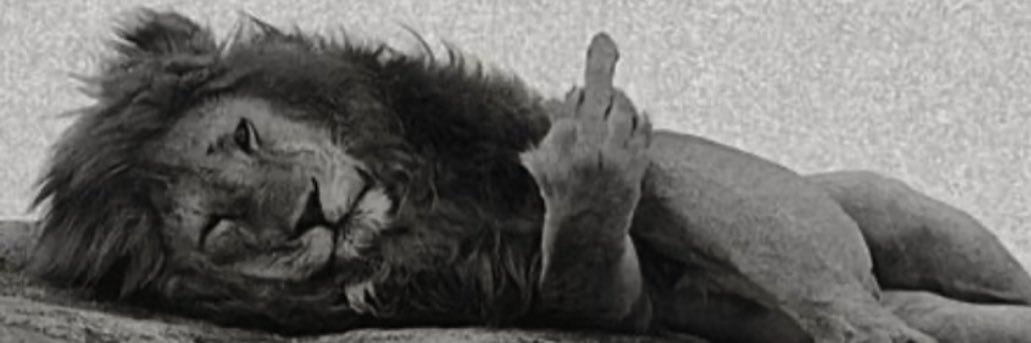 JayToMcH's profile banner image