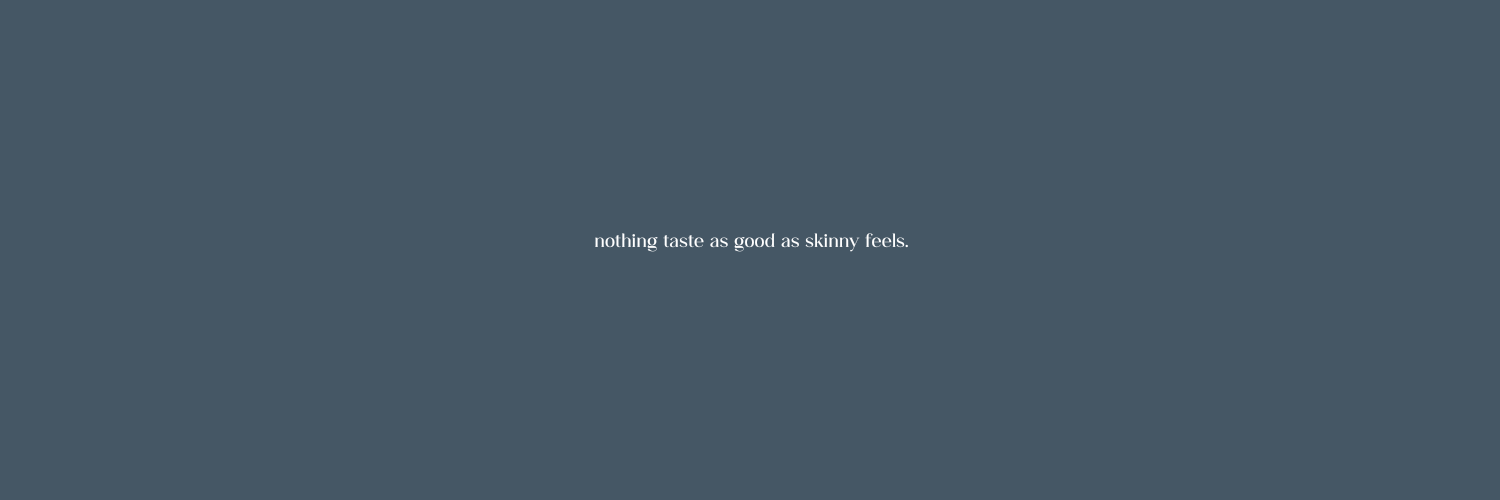 SKYZDIET's profile banner image