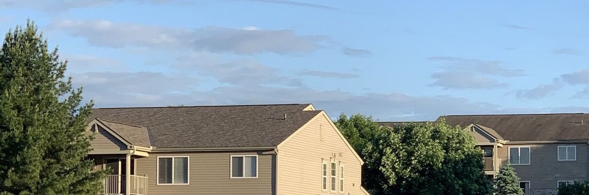 fleurina s banner