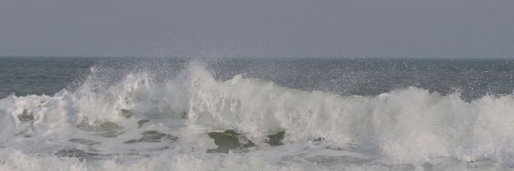 yo! banner
