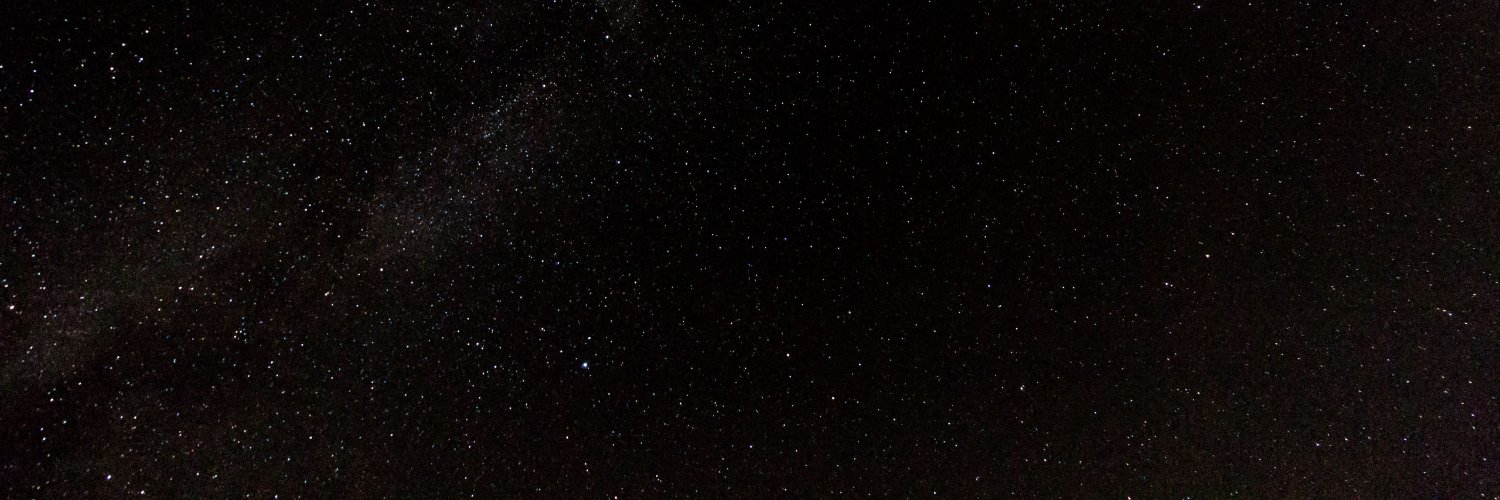 Ronald Blüthl banner