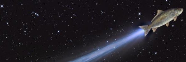 Chris Robinson banner