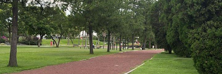 MsyDulce's profile banner image