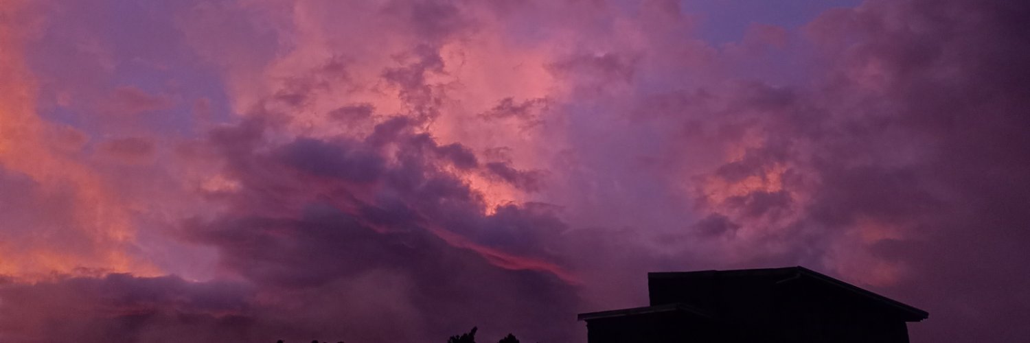_07Cardozoo_'s profile banner image