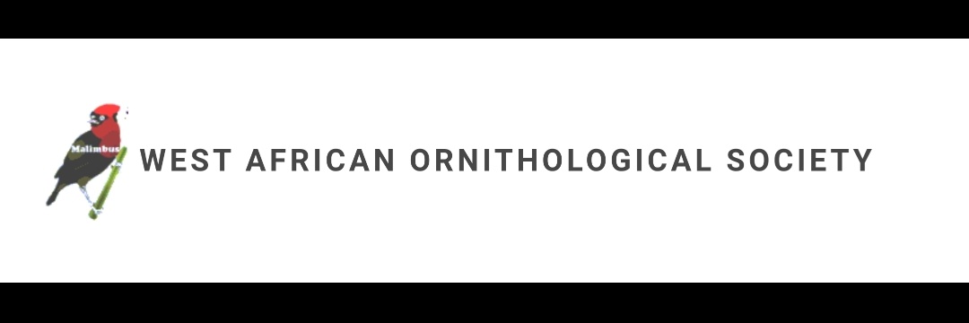 WAOS_Malimbus banner