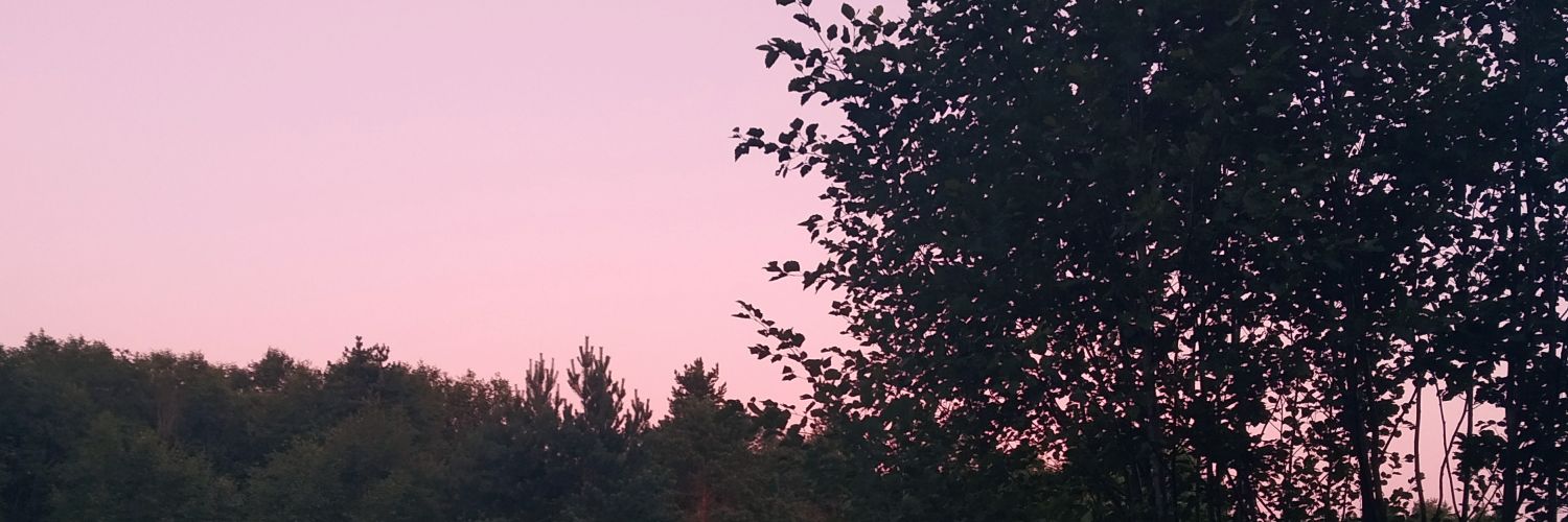 Lifor121's profile banner image