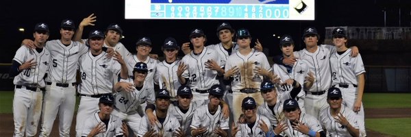 nguyse2 Profile Banner