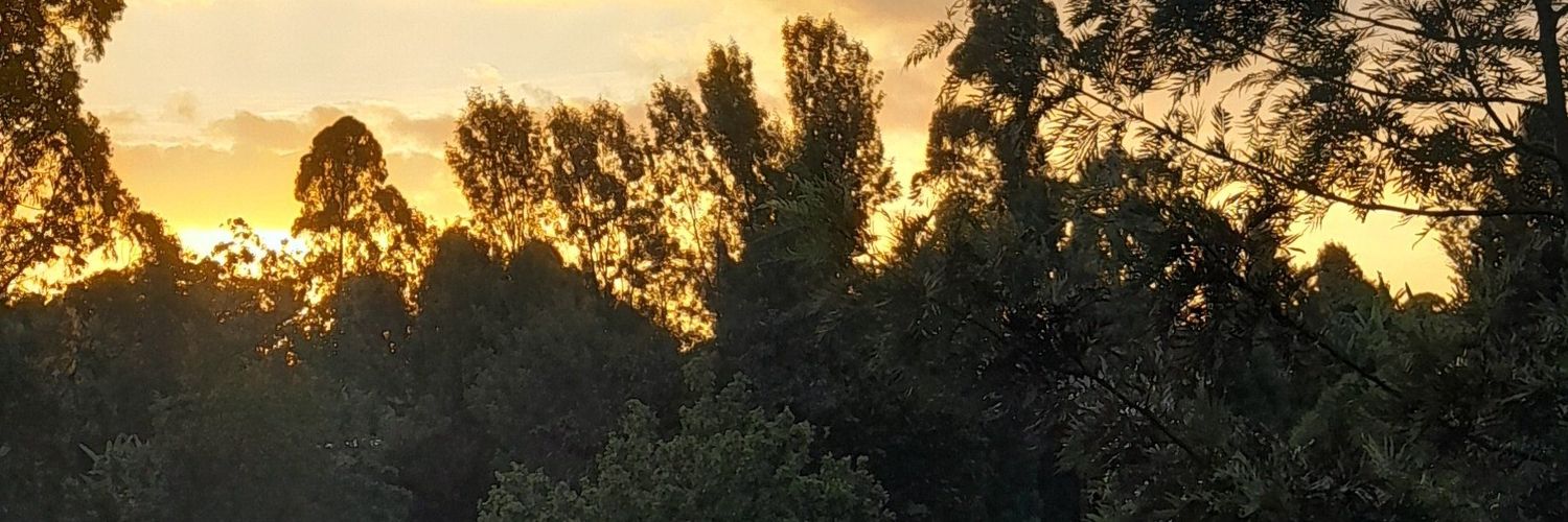(⁠•⁠‿⁠•⁠) iddy banner