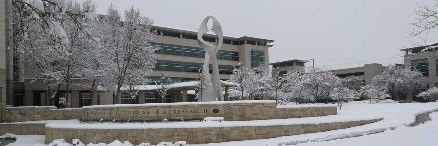 Luciana Castellano banner