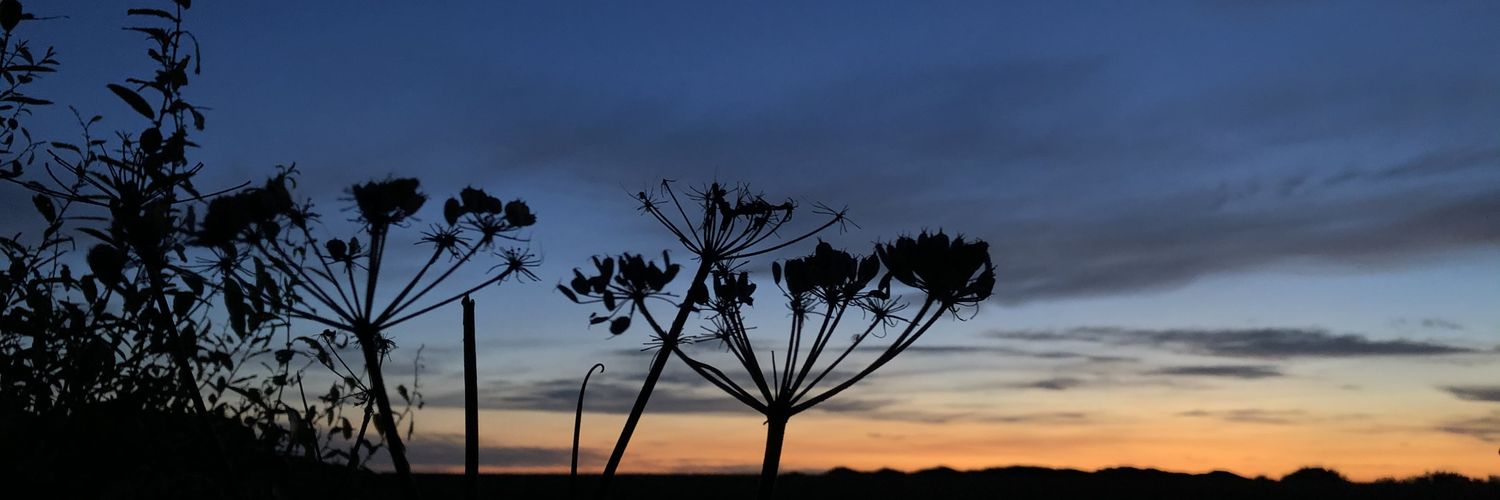 centristempath's profile banner image