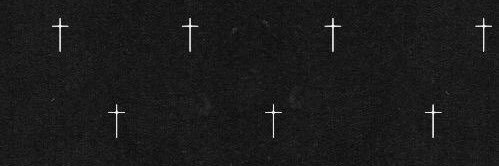 Levi Davis's banner