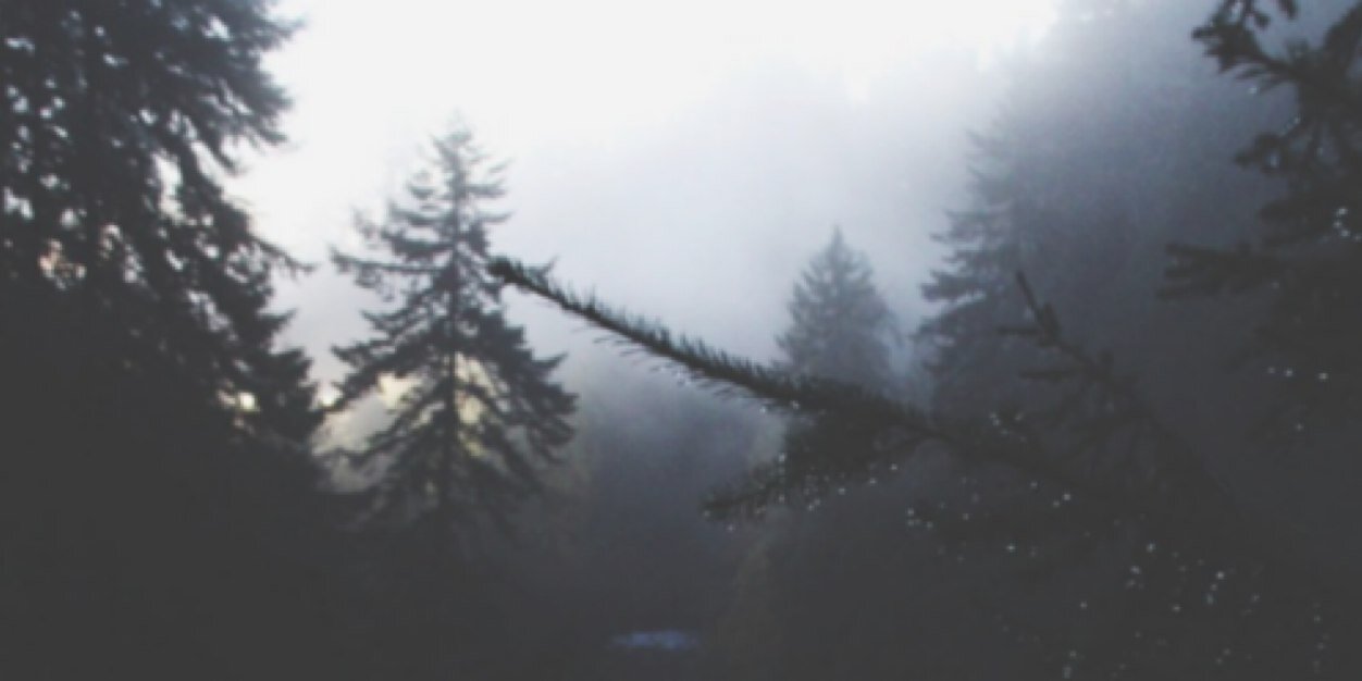 bitesclifford's profile banner image