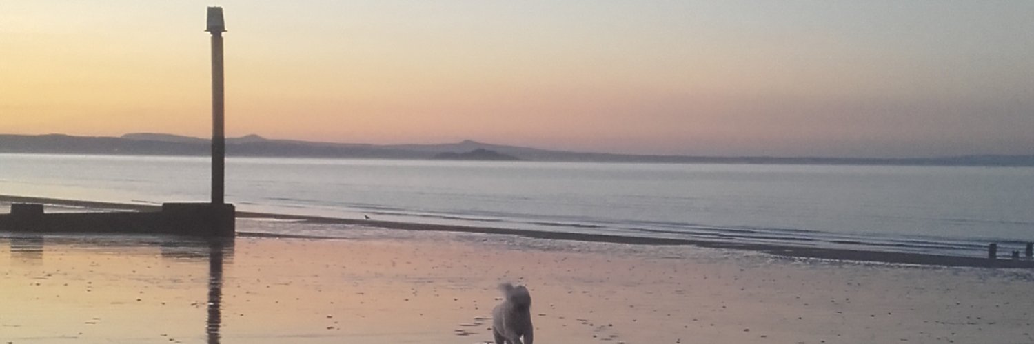 Jessica MB Davidson banner